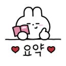 폴인럽제주 이미지