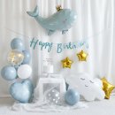 멍&미 | 강아지 생일파티 준비 오늘 멍밥 펫푸드 파티바이미 파티 용품