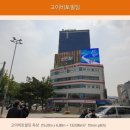 애드지뜨