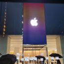 강남-256 이미지