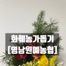 영남화훼농협 | 카카오메이커스 화훼농가돕기 영남원예농협 경매 후 남겨진 못난이 꽃 만 원에 구매 후기