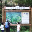 안말목장 | 천마산 가족 산행후기