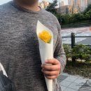 하나궁 이미지