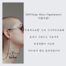 권헤어라인 이미지