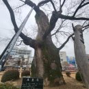 흥해종합복지문화센터 이미지