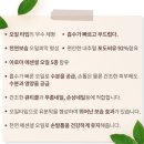 네일조아 이미지