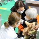 애플홀덤펍