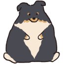 머피애견 이미지