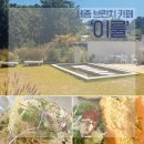 성동길 | 세종 브런치 카페 ‘이룰’오믈렛과 크림파스타 맛집 내돈내산 후기