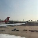 우리대치약국 | 홍콩 여행 Part1 | 딤딤섬, 구룡공원 홍학, Azure 80, 베이크하우스, 이치란 라멘, Market Place...