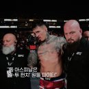 뉴스톰