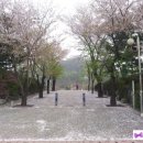 부천 종합운동장역(2번 출구) 네이버블로그