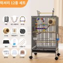 케이지 이미지