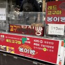 레드고구마붕어빵