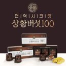 버섯과면역