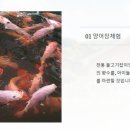 간현양어장