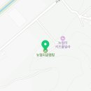 뉴얼리 야영장 이미지