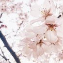 수원-1732 이미지