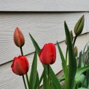 제비봉펜션 이미지