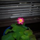 자연이야기 이미지