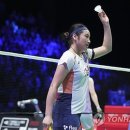 감사나무 이미지