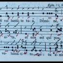 [그레고리오 성가 감상] 연중 제27일 입당송(In voluntate tua 당신의 뜻 안에) 이미지