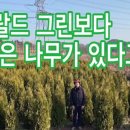 모녀농원 이미지