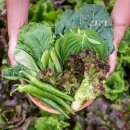 대신환경 이미지