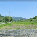 영주땅공인중개사사무소 이미지