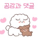 토굽스카페 이미지