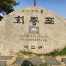 용포마을 이미지