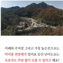 6월21일(토요일) 충주 악어봉및 게으른악어 카페 탐방 이미지