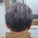 가모미모 이미지