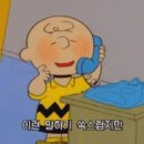 달꽃 이미지