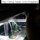 밥줘요 이미지