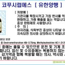 코푸