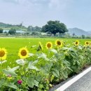 청양 2리 이미지