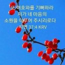 바나 나와상극인 과일은 먹지말자 이미지