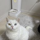 바로해장 이미지