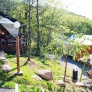 종자리로2 이미지