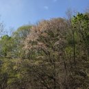 동막골약수터 이미지