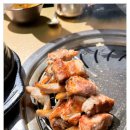 한돈암돼지