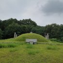 조기수 묘역 Daum카페