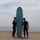 서프베이 이미지