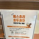 숲속호두송도트리플 네이버블로그