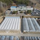 농업기술센터 뒤 이미지