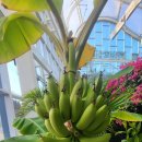 무지갯빛 이미지