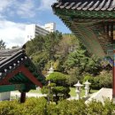 가람조경 - 서산시 남원3길 14 | 가람조경