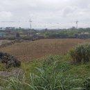 한림읍사무소 이미지