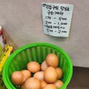 광신세탁소 | [내돈내산]전주 송천동 김밥이좋다 정말 맛있는 김밥맛집 발견